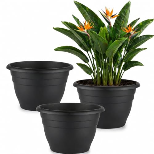 Image of RooTrimmer 3 Pack 11 Inch Plant Pots for Indoor Outdoor,Plastic Floor Planters with Drainage Holes,Lightweight Durable Flower Pots for Home,Patio & Garden(Black)