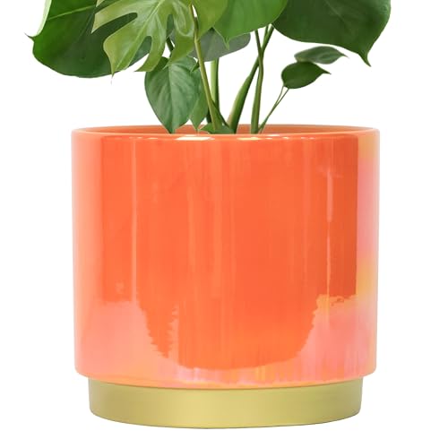 Gepege Peach Indoor Plant Pots for Plants Large Ceramic Planter with Drainage Hole 9.6-inch Succulent Orchid Flower Pot - Rainbow Pearl Glaze