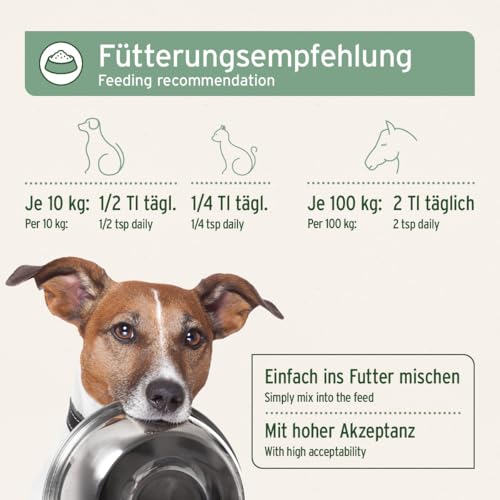 AniForte Leinöl Hunde & Katzen 500ml - Natives & kaltgepresstes Leinsamenöl, reich an Omega 3 & Omega 6 Fettsäuren, Barf Öl Zusatz, Leinöl für Hunde & Katzen