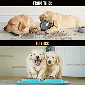 Active-Pets-Dog-Bowl-Set-Stainless-Steel-No-Spill-Mess-Proof-Food-Water-Dog-Food-Bowls-with-Skid-Resistant-Silicone-Mat-Dog-Bowls-Small-Size-Dog-Medium-Large-Pet-Puppy-Bowls-Dog-Dishes - Cucciolini Doodles   Active-Pets-Dog-Bowl-Set-Stainless-Steel-No-Spill-Mess-Proof-Food-Water-Dog-Food-Bowls-with-Skid-Resistant-Silicone-Mat-Dog-Bowls-Small-Size-Dog-Medium-Large-Pet-Puppy-Bowls-Dog-Dishes