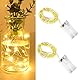 SHUBEIEUMI 2 Stück LED-Draht-Lichterkette, 1M 10LED Warmweiß Innen Lichterketten, für Party, Weihnachten, Halloween, Hochzeit Deko, Garten
