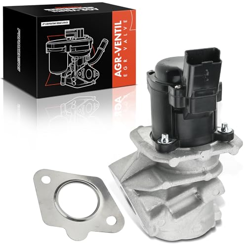 Frankberg Vanne EGR Compatible avec Fiesta VI CB1 CCN 1.6L C-Max DM2 1.6L C4 Grand Picasso I UA 1.6L Berlingo monospace B9 1.6L M.i.n.i R56 1.6L Remplacer#...