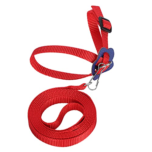 Pettorina e Guinzaglio per Uccelli Domestici