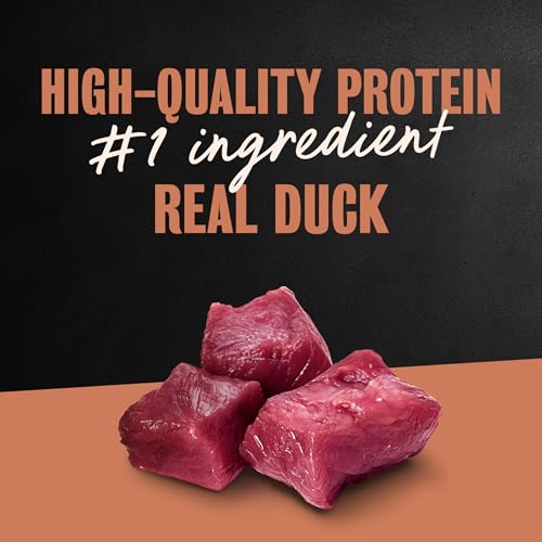 Image of Cesar Classic Loaf in Sauce Wet Dog Food, Duck Recipe, 3.5 oz, 24 Count | Made in USA, Real duck #1 ingredient, no fillers /added sugar /artificial flavors, use as meal or topper, easy peel trays