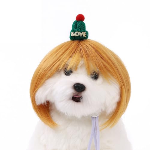 ybgEBbO 蕨   L  ybgEBbO 蕨 nEB ϐg Be   RXv 킢 ʔybg ڂɗ  RXv p[eB[ o| U EȒP  L ybgpXq ybg 