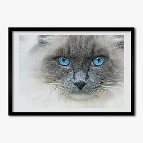 Cadre en bois décoratif chat aux yeux bleus pour sublimer votre salon