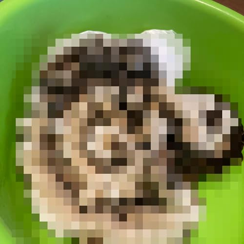 #17 ごぞがわく、虫の話