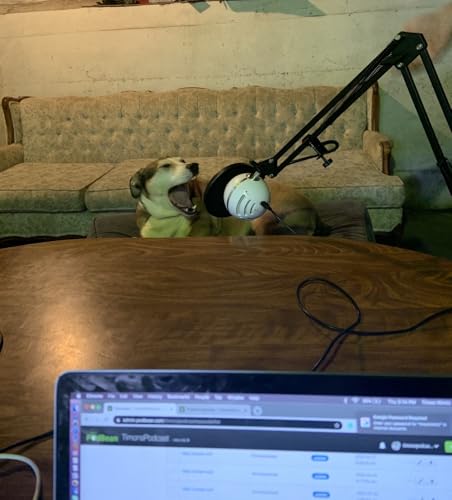 Page de couverture de Timonspodcast