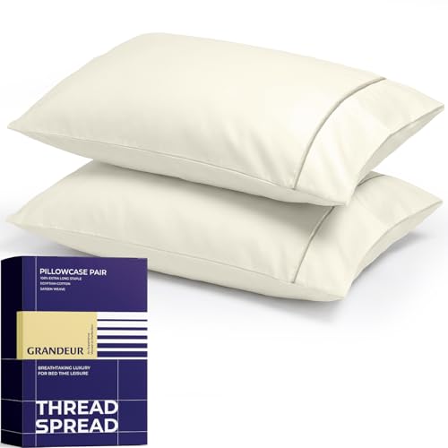 Image of THREAD SPREAD 100% Egyptian Cotton Pillow Cases Queen Size Set of 2 - Luxury 2000 Series Queen Pillow Cases (21 inch x 32 inch, Ivory), Soft Cooling Envelope Closure Hotel Quality Egyptian Cotton Pillowcases