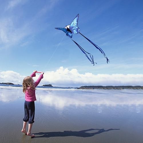 image for Kaiciuss Butterfly Kite for Kids & Adults Easy to Fly, 55