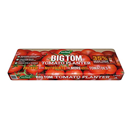 Westland Big Tom Tomato Planter