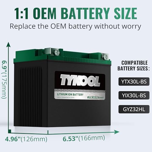 Image of TYKOOL LFP30L-BS-STD Lithium Battery, Replaces YTX30L-BS, 650CCA 12Ah Fits for Motorcycle UTV ATV PWC, Compatible with Harley Touring Road King Moto Guzzi 1000cc Polaris Ranger RZR 800,Digital Readout