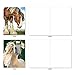 The Best Card Company - 20 Blank Note Cards with Envelopes (4 x 5.12 Inch) - All Occasion Animal Card Assortment (10 Designs, 2 Each) - Horses | Magnificent Manes AM4601OCB-B2x10