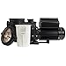 Rx Clear Mighty Niagara 1.5 HP Variable Speed I/G Pump for Inground Swimming Pool | 230V | High Efficiency, Quiet Operation, and Longevity