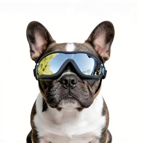 Namsan Medium Dog Goggles, UV Protection Goggles for Dogs Small Medium Breed, Doggy Sunglasses with Adjustable Straps, Windproof Dog Eye Protection for Outdoor Activities, Black