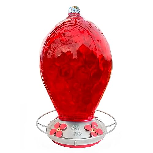 Hummingbird Feeder by Grateful Gnome - Large Hand Blown Stained Glass Feeder for Garden, Patio, Outdoors, Window with Accessories S-Hook, Ant Moat, Brush - 20 fl oz, Red Egg Design