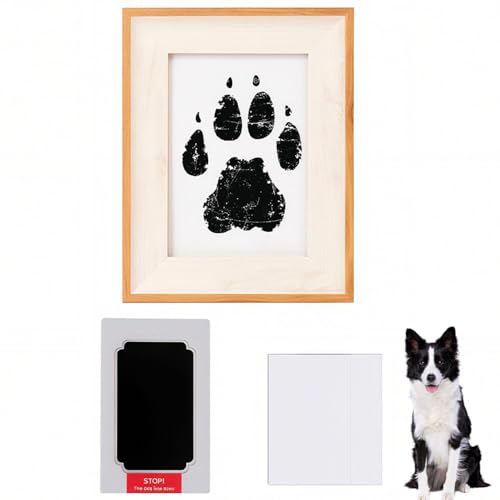 Lifetips {[_[ER[iBorder Colliej ybgp  X^v Lbg ^  ``X^v `쐬Lbg LO  Ȃ `    ` ^ ȒP S y Ճpbh IWi v