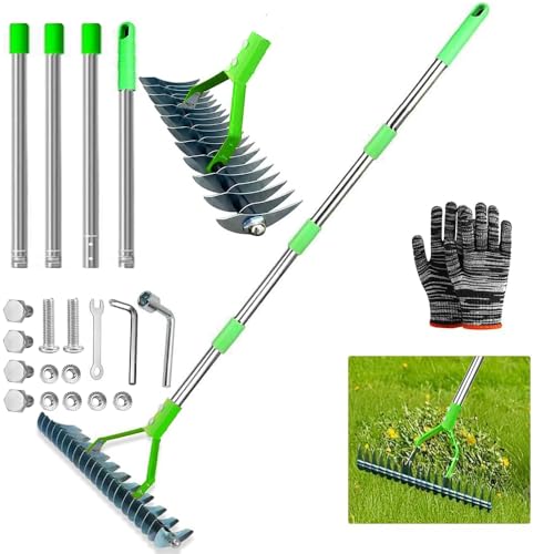 Rateau Scarificateur Gazon, Scarificateur Gazon Manuel avec Manche 170 cm, Râteau De Scarification,...