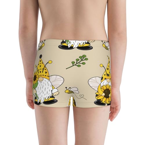 Boys' Cotton Boxer Brief Soft Underwear-Gnomes Bees And Sunflowers3