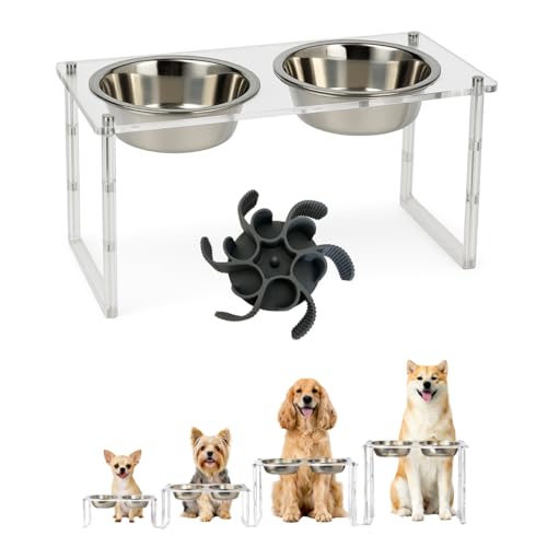 Gamelle Chien et Chat Surélevée - 4 Hauteurs Ajustables – Bols en Acier Inoxydable + Accessoire Anti-Glouton - Convient aux Petits et Moyens Chiens -...