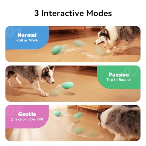 Juguete interactivo para perros Hoochii Wicked Rugby miniatura 3