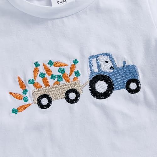 Image of Toddler Baby Boy Easter Rabbit Outfit Short Sleeve Bunny Carrot Smocked T-shirt Elastic Waist Shorts Summer Clothes