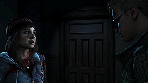 Until Dawn Standard Edition pour PlayStation 4 jeu PS4 original