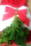 ALLO Botanicals Mistletoe - 1 Small Bundle - 5 to 7 Inches - Fresh, Real, All Natural