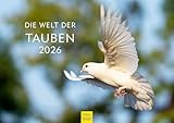 Edition Seidel