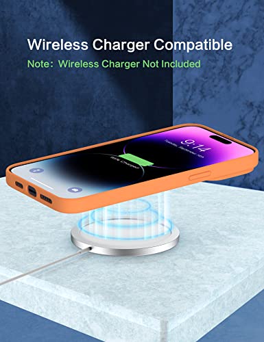 MXX Cell Phone Basic Case: funda protectora esencial y ligera para teléfono móvil 6