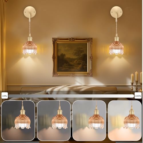 Image of Battery Operated Wall Sconces CCT Dimmable Wireless Sconces Set of 2, Vintage Light Fixture with Amber Flower Glass Lampshade Wall Decor Set of 2 for Living Room Bedroom Bedside Bathroom