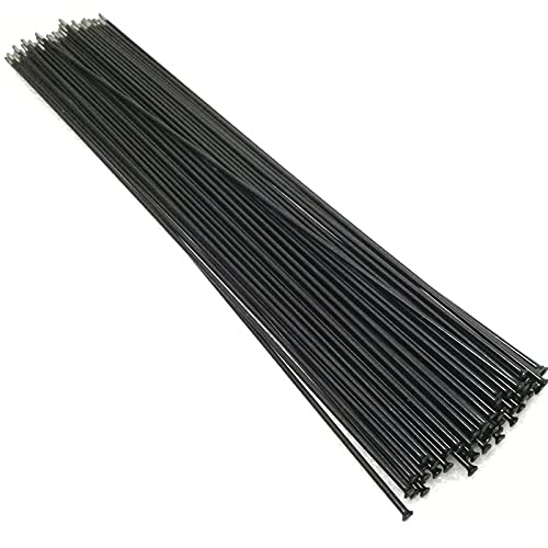 Raggi Bicicletta 100 pz/Lotto 14G Raggi Bicicletta Bicicletta Straight Tiro Raggio 218 225 238 243 249 255 260 268 278 282 286 291 292 303 mm Raggi per Bicicletta (Color : 258mm)