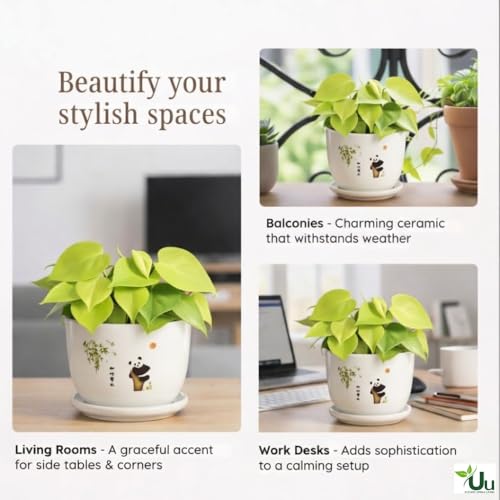 Image of Urban Upvan Panda Design Printed Ceramic Pot with Tray - Premium Decorative Planter for Indoor & Outdoor Plants, Modern Elegant Flower Pot for Home, Garden & Office