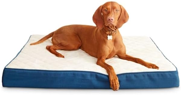 HARMONY Blue Orthopedic Lounger Dog Bed, 40" L X 30" W