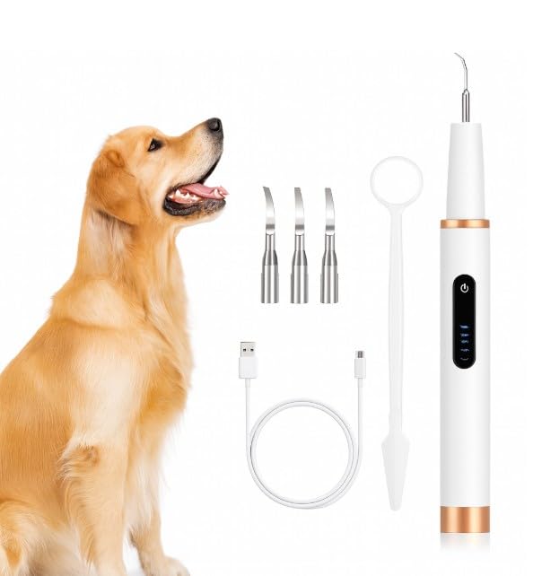 Image of Dog Teeth Cleaning Kit, Rechargeable Pet Oral Care Tool for Dogs & Cats, 5 Cleaning Modes, USB-C Rechargeable, IPX6 Waterproof, Portable Dental Care Kit for Daily Teeth Cleaning
