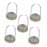 Pot de terrarium en verre - l'excellente finition de notre produit vous apportera un de présentation de terrarium