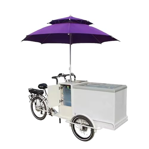 Koalalko Electric Ice Cream Tricycle Ice Cream Cart Street Sale Tricycle Cart with Freezer Vending Tricycle to Serve Ice Cream,Cold Beverage with Water Treatment System with Pump,Installation Required