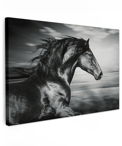 MuchoWow© Impression sur Toile Decoration Murale Peinture 120x80 cm Tableaux Decoratifs Muraux Décoration Chambre Cheval - Animaux - Noir et blanc