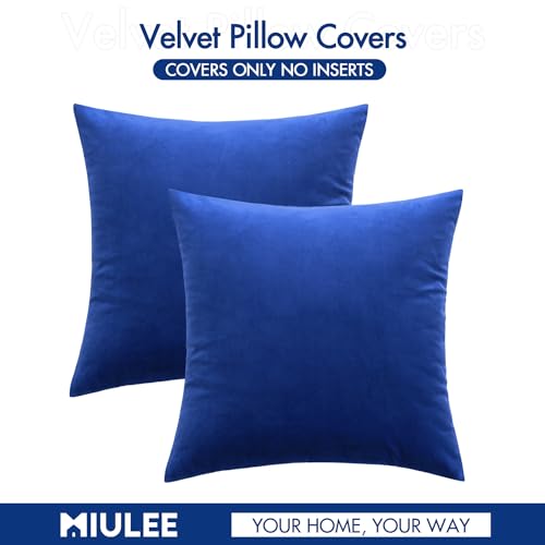 Image of MIULEE Velvet Throw Pillow Covers 20x20 Inch, Pack of 2 - Royal Blue, Soft Solid Decorative Pillow Covers Cushion Cases Modern Luxury Home Decor for Couch Sofa Bedroom Livingroom