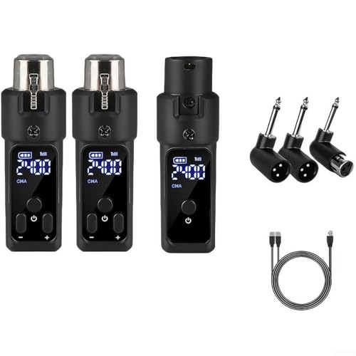 2.4GHz Microfono Sistema Wireless XLR Trasmettitore Ricevitore Per Condensatore Dinamico (2 per Dinamico)