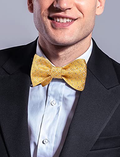 Image of DiBanGu Men Bow Tie Paisley Striped Self-Bow Tie for Men and Silk Woven Bowtie Pocket Square Cufflinks Wedding Party