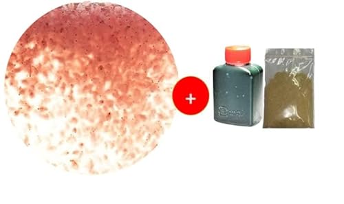 s߂Xt^}~WR̂ODRiXOOCȏj{|{{Nt30?P{Ɣ|{