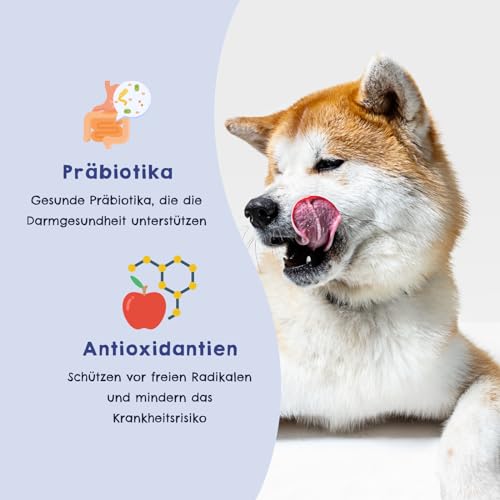 HAPPY JACKY | extra sensitives High-Premium Nassfutter für Hunde ohne Getreide | Huhn mit Wildreis, Brokkoli & Hirse | ohne Konservierungsstoffe, Zuckerfrei | 6x820g