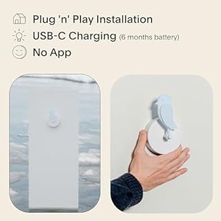 Birdie 2.0 - Design Indoor CO2 Monitor - Luftqualitätsmessgerät für Haus & Büro - Fördert die geistige & körperliche Gesundheit - Reduzierung von Gesundheitsrisiken durch saubere Luft (Gletscher)