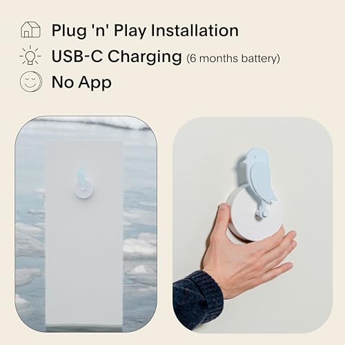 Birdie 2.0 - Design Indoor CO2 Monitor - Luftqualitätsmessgerät für Haus & Büro - Fördert die geistige & körperliche Gesundheit - Reduzierung von Gesundheitsrisiken durch saubere Luft (Gletscher)