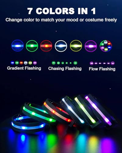 Collier de poitrine LED et bande de jambe de cheval à LED haut de gamme - 4