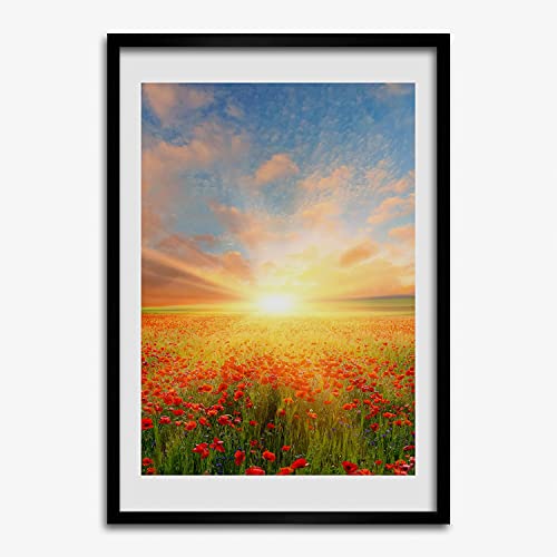 Cadre 50x70 cm Champ de coquelicots pour raviver un mur blanc sans peinture