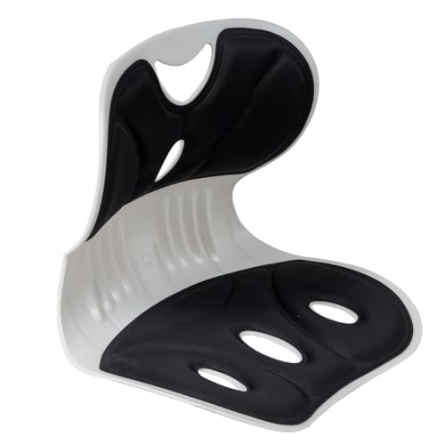 Ջ֎q ֎q `FA pT|[g`FA eR ω׏d100kg  w ItBX`FA ɉP pT|[g w Lw΍ Ղ獘T|[g ՃT|[g`FA ŒŊԔwjA\h (ubN) [sAi]