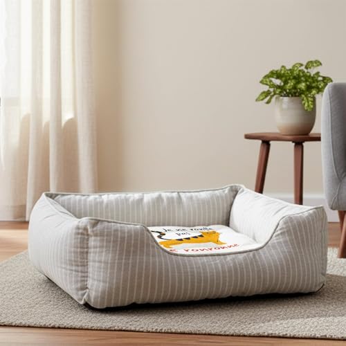 Panier pour chien dehoussable résolvant les problèmes de poils et d'odeurs