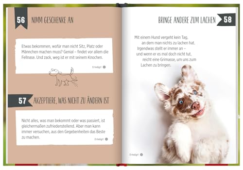 100 Dinge, die man von einem Hund lernen kann: Kleines Geschenkbuch mit einer schönen Botschaft an Hundefreunde (Geschenke für Hundeliebhaber)